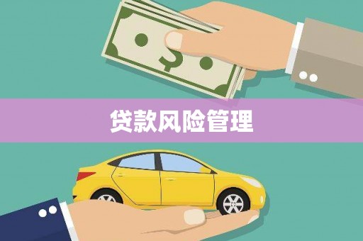 安义贷款风险管理