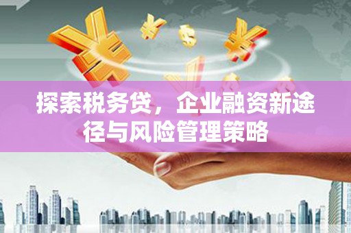 安义探索税务贷，企业融资新途径与风险管理策略