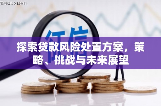 安义探索贷款风险处置方案，策略、挑战与未来展望