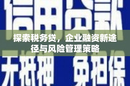 安义探索税务贷，企业融资新途径与风险管理策略