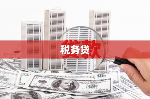 安义税务贷