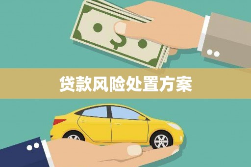 安义贷款风险处置方案
