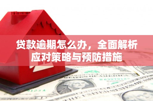 安义贷款逾期怎么办，全面解析应对策略与预防措施