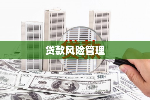 安义贷款风险管理