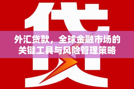 安义外汇贷款，全球金融市场的关键工具与风险管理策略