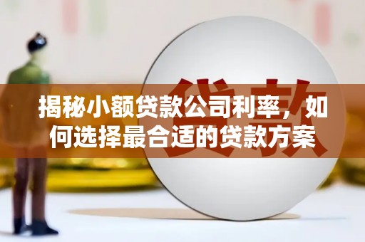安义揭秘小额贷款公司利率，如何选择最合适的贷款方案