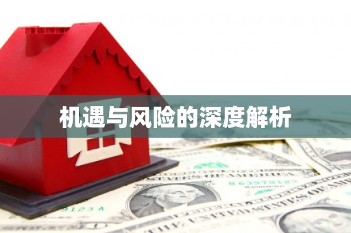 安义机遇与风险的深度解析