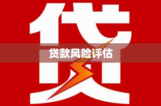 安义贷款风险评估