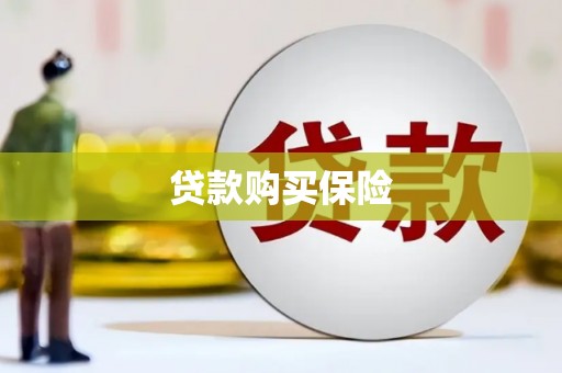 安义贷款购买保险