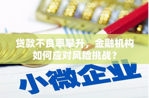 安义贷款不良率攀升，金融机构如何应对风险挑战？