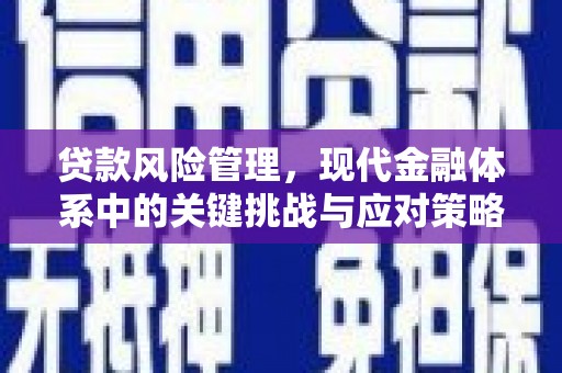 安义贷款风险管理，现代金融体系中的关键挑战与应对策略