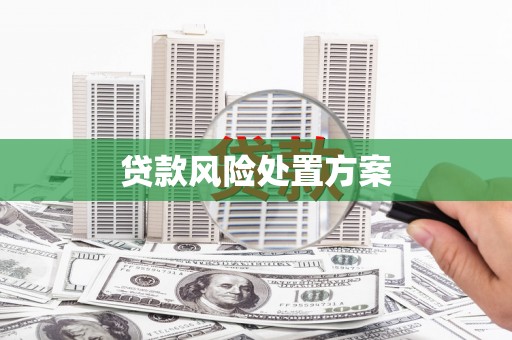 安义贷款风险处置方案