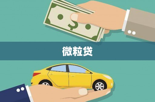 安义微粒贷