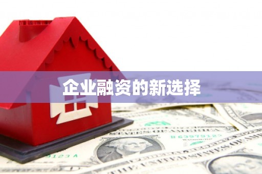 安义企业融资的新选择