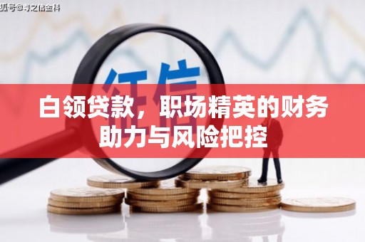 安义白领贷款，职场精英的财务助力与风险把控